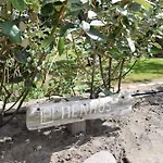 Henhues דירה ווסטרלנד